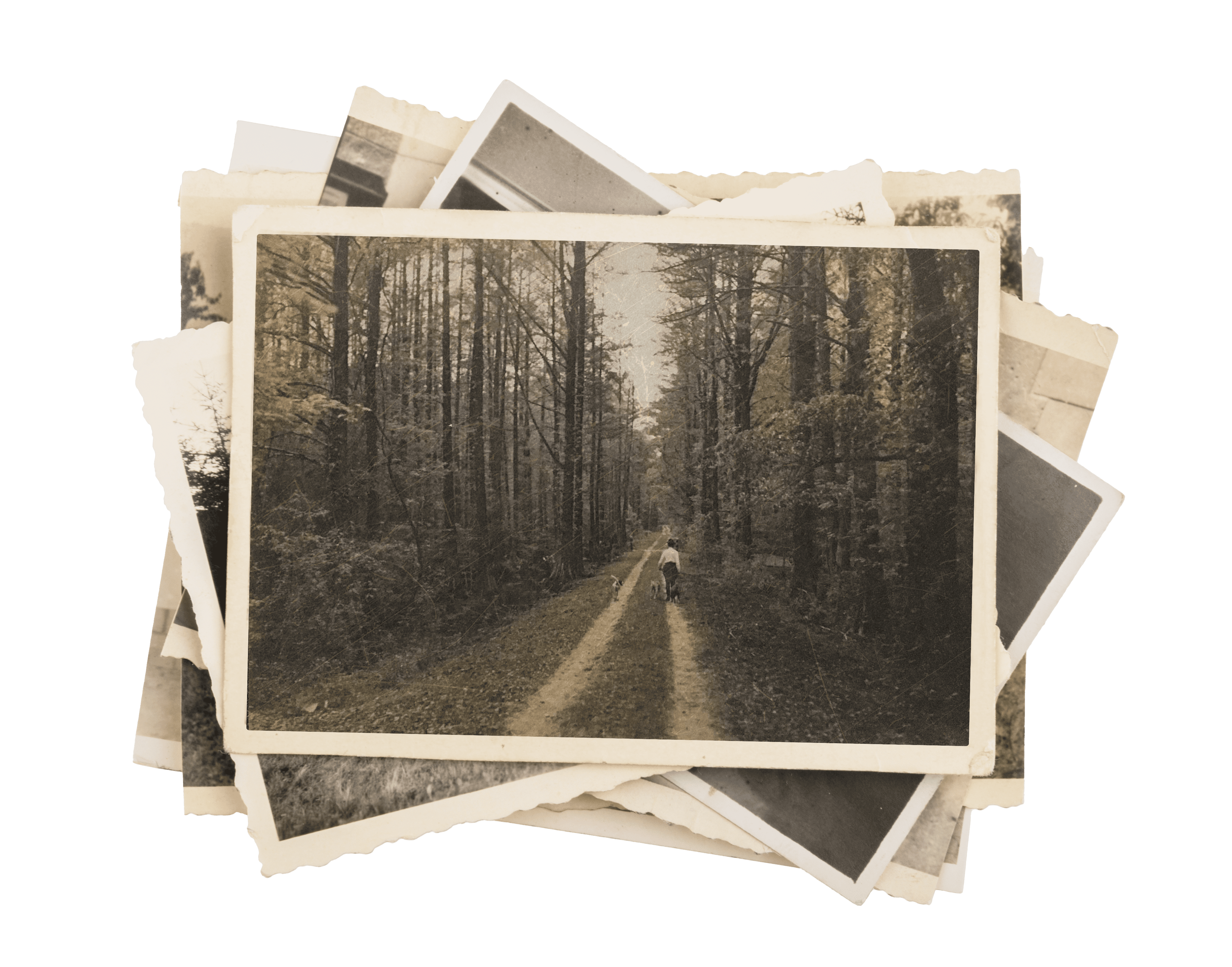 long_savannah_history